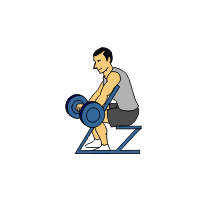 BBReversePreacherCurl