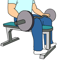 Seated Calf Raise with Bar