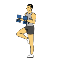 bicep curl hipflexion