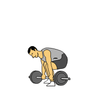 dumbbell exercises dead lift