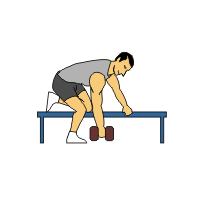 dumbbell exercises single rows