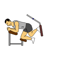 LVKneelingHipExtension