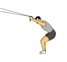 bentover narrow row with sissel fitband