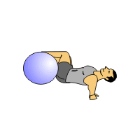 lumbar roll with sissel exercise ball
