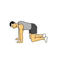 opposite arm opposite leg raise