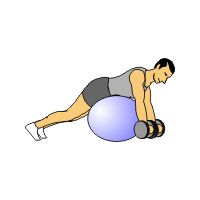 reverse flyes with exercise ball dumbbells