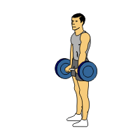 reverse palms in barbell curls