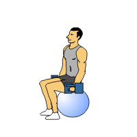 seatedDBcurlandpress1.clk 2