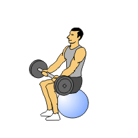 seatedbarcurlpress1.clk 2