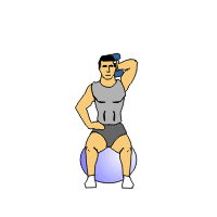 stdohd-ext swiss ball pro dumbbells