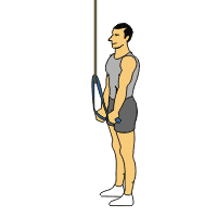 tricep rope pulldown